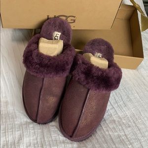 New Ugg Scuffette Slippers Port Color SZ 8